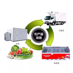 農(nóng)業(yè)企業(yè)如何借助物聯(lián)網(wǎng)技術(shù)服務(wù)打造農(nóng)產(chǎn)品數(shù)字生態(tài)供應(yīng)鏈